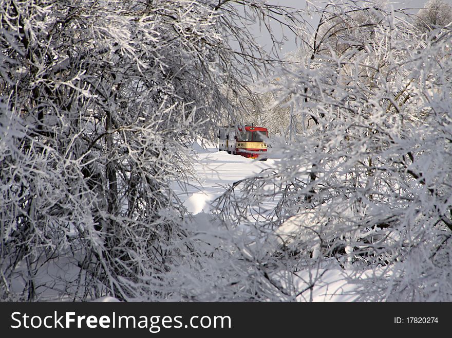 Small diesel train over the snow covered bushes. Small diesel train over the snow covered bushes