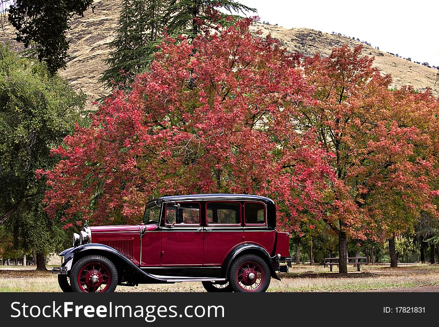 A shot of an old Model A car sitting in front of an old tree with red leaves falling. A shot of an old Model A car sitting in front of an old tree with red leaves falling.