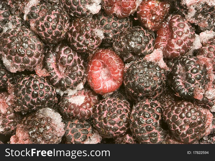 The frozen raspberry and bilberry. Fruit are covered with ice and a snow. The frozen raspberry and bilberry. Fruit are covered with ice and a snow.