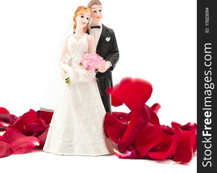 Bride and groom with rose petals on white background