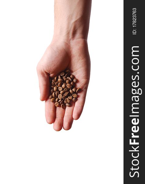 Hand holding coffee beans on white