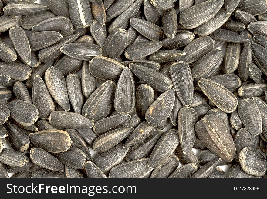 Close up image of sunflower seeds. Close up image of sunflower seeds