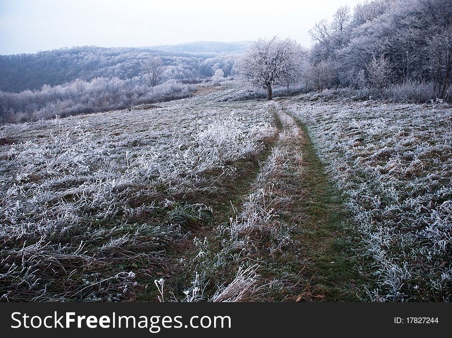 Footpath in field, winter conditions. Footpath in field, winter conditions.