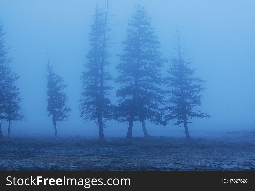 This is area is called Fairy Bay, resides in Kanasi national nature resort, Xinjiang, China. Every morning, the mist comes up in the valley. This is area is called Fairy Bay, resides in Kanasi national nature resort, Xinjiang, China. Every morning, the mist comes up in the valley.