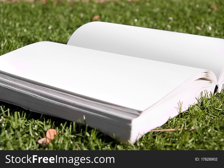 An open book with blank white pages laying in the grass. An open book with blank white pages laying in the grass.