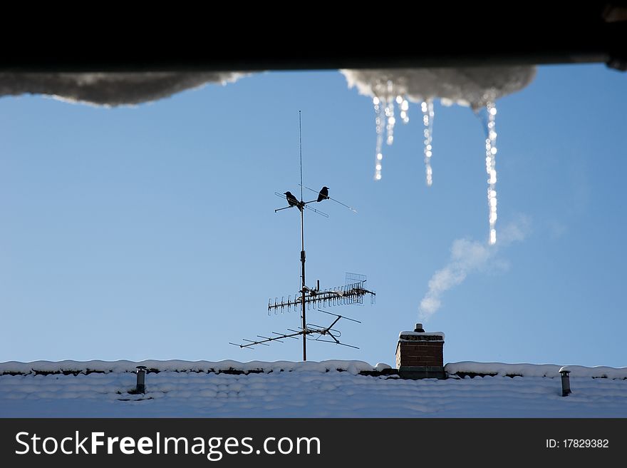 Snow covered roof and smoldering chimney, an antenna with two crows on it and in the front some icicles