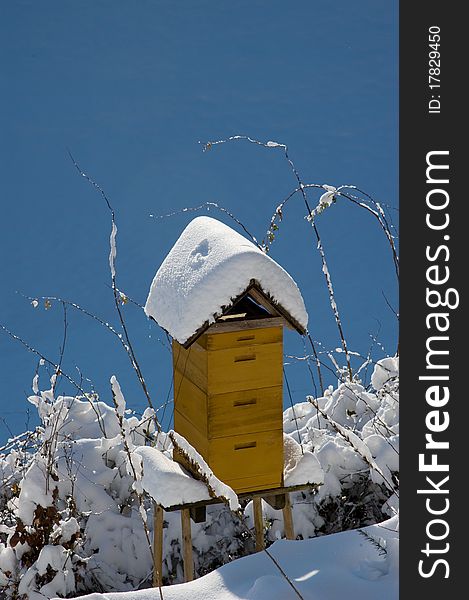 Snowy yellow painted bee house in back light