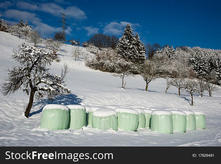 Stored bags of silage in the snow wayside. Stored bags of silage in the snow wayside