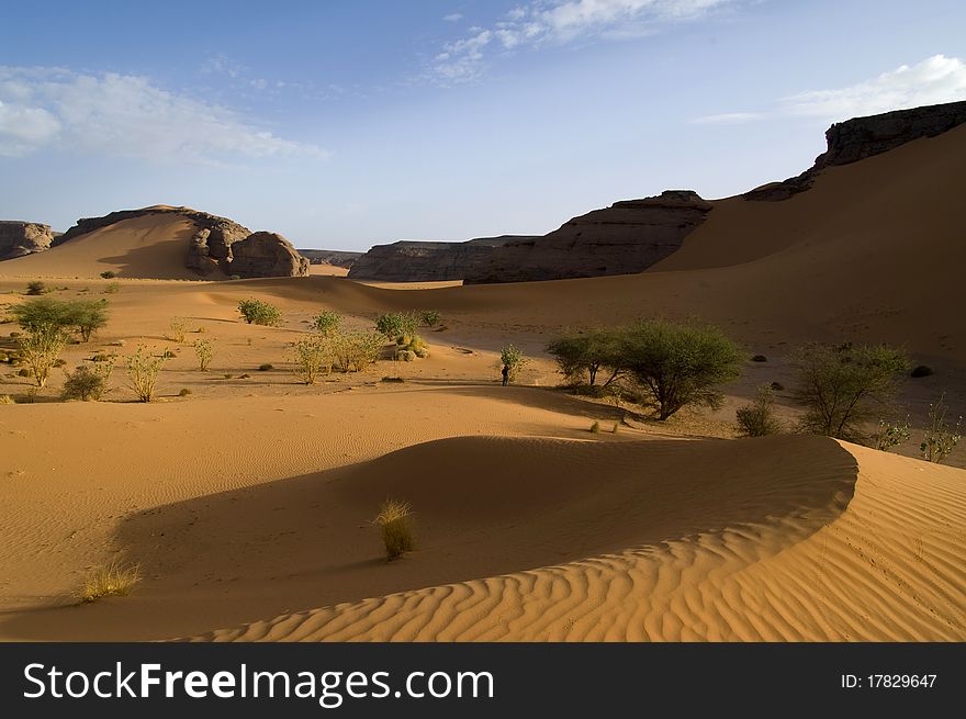 Canyon in the Desert of Libya. Canyon in the Desert of Libya