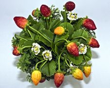 Artificial Plant Stock Image Artificial Plant Stock Image