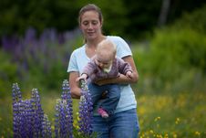 Young Mother & Daughter In Lupine Flowers Royalty Free Stock Photos Young Mother & Daughter In Lupine Flowers Royalty Free Stock Photos