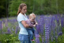 Mother & Daughter In Field Of Lupine Flowers Stock Photo Mother & Daughter In Field Of Lupine Flowers Stock Photo