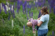Mother & Daughter In Field Of Lupine Flowers Stock Photography Mother & Daughter In Field Of Lupine Flowers Stock Photography