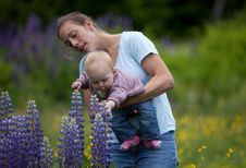 Mother & Daughter In Field Of Lupine Flowers Royalty Free Stock Photos Mother & Daughter In Field Of Lupine Flowers Royalty Free Stock Photos