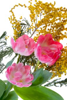 Bouquet Of Mimosa And Tulips Royalty Free Stock Photo Bouquet Of Mimosa And Tulips Royalty Free Stock Photo