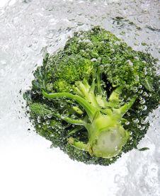 Green Broccoli Dropped Into Water Royalty Free Stock Photos Green Broccoli Dropped Into Water Royalty Free Stock Photos