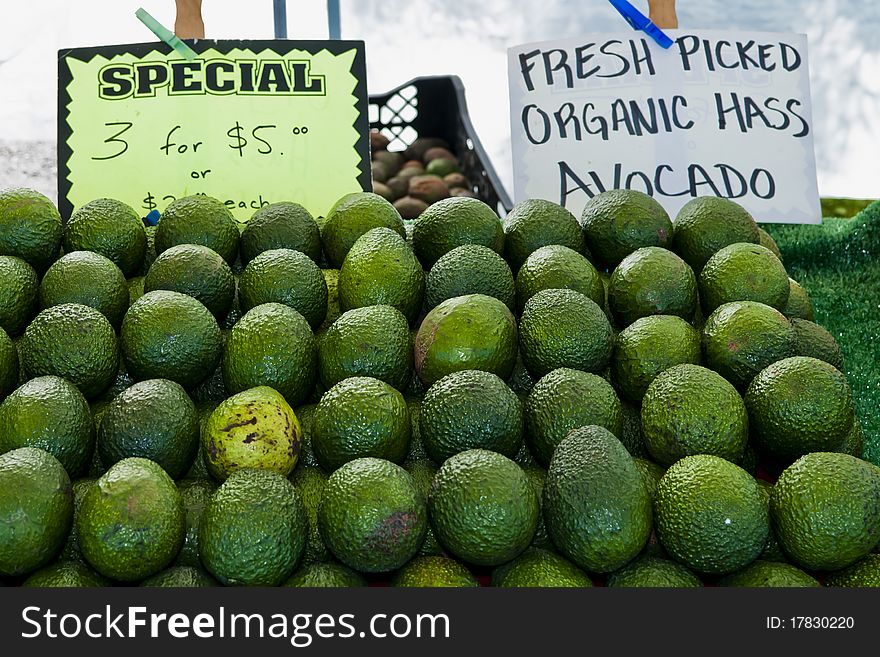 Organic Hass Avocadoes on fruit stand at Farmers Market, Barnsdall Park. Organic Hass Avocadoes on fruit stand at Farmers Market, Barnsdall Park