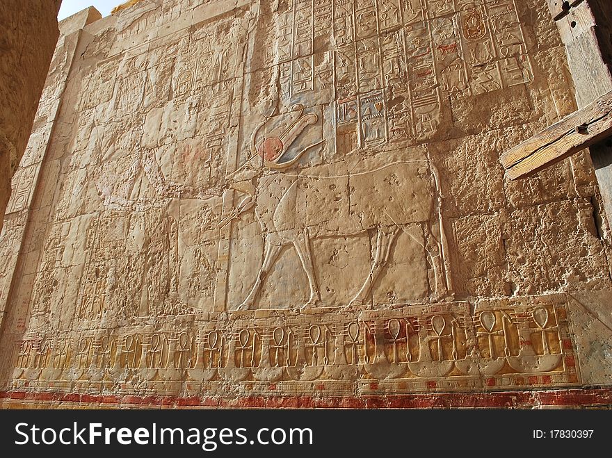 Bas-relief on wall in temple of Hatshepsut in Luxor