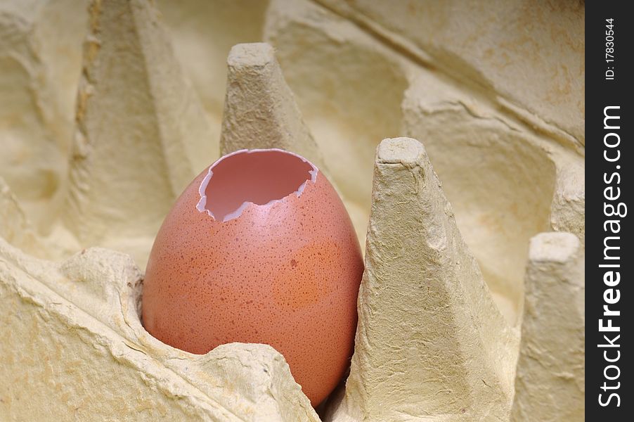 Egg in cardboard