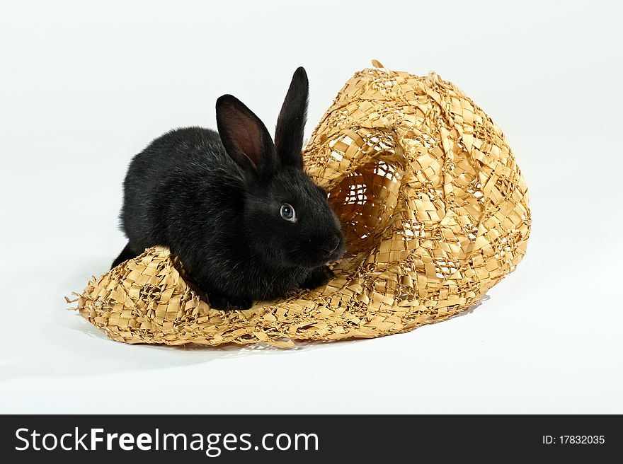 Rabbit sitting in a straw hat beautiful, beauty