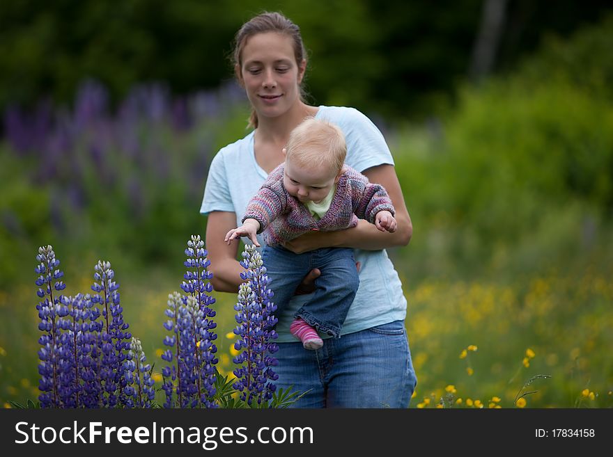 A young mother and daughter in a beautiful field of lupine flowers (lupinus perennis). A young mother and daughter in a beautiful field of lupine flowers (lupinus perennis).