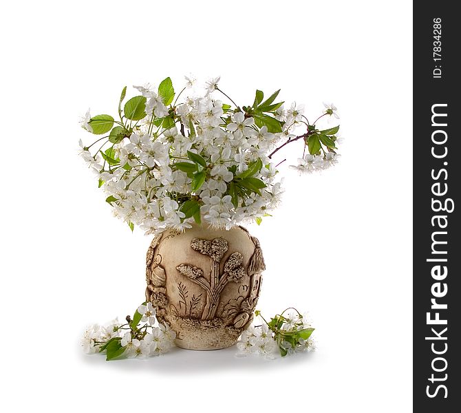 Bouquet of cherry blossoms in a vase on a white background