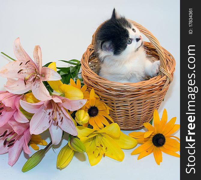 Little kitten in a basket and flowers