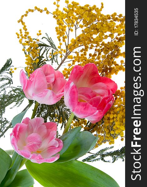 Bouquet of mimosa and tulips in a black vase on a white background