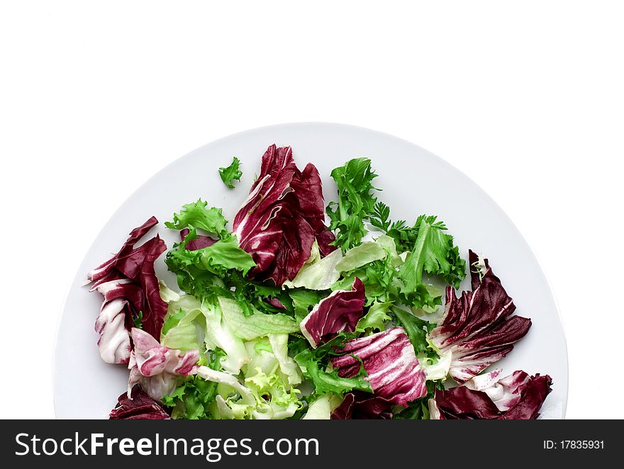 Salad mix with white dish. Salad mix with white dish