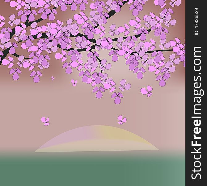 Blossoming tree on a sunset. A  background