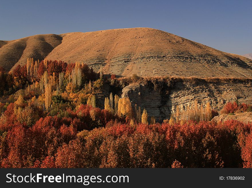 A colorful landscape of Autumn in mountain. A colorful landscape of Autumn in mountain