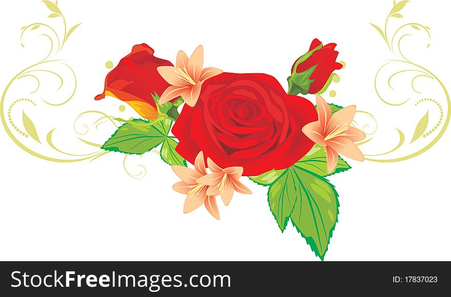 Bouquet of roses and lilies with ornament. Illustration