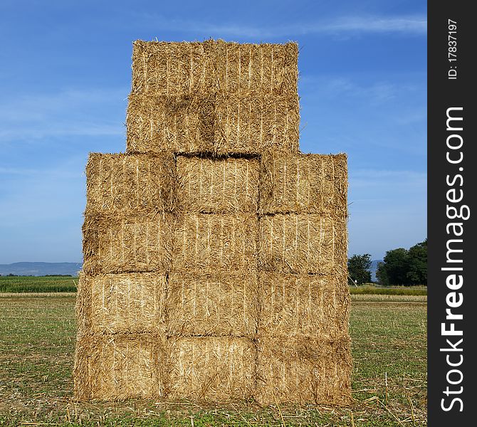 Straw bales in a field in summer