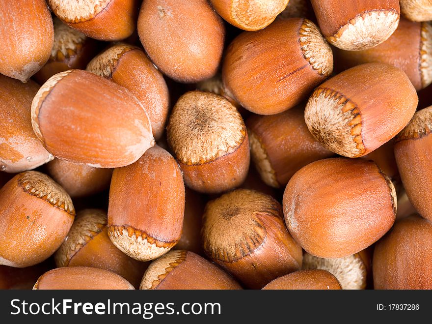 Large group of forest ripe nuts. Background. Large group of forest ripe nuts. Background