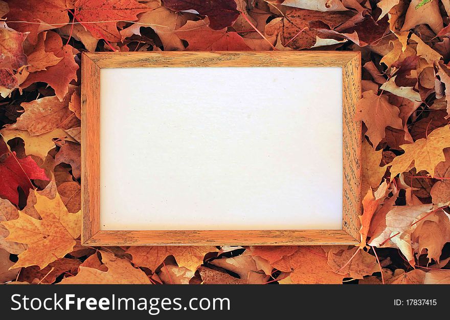 Wooden frame on the leaves with empty  white space, free space