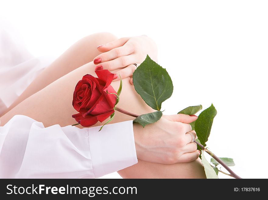 Girl in shirt sitting with rose. Girl in shirt sitting with rose