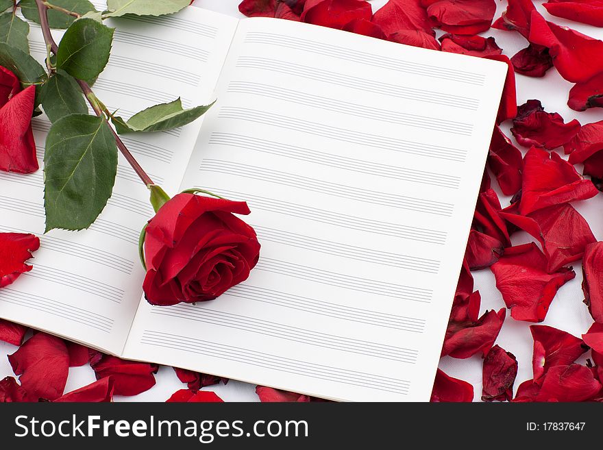 Red rose on the note sheet surrounded by petals
