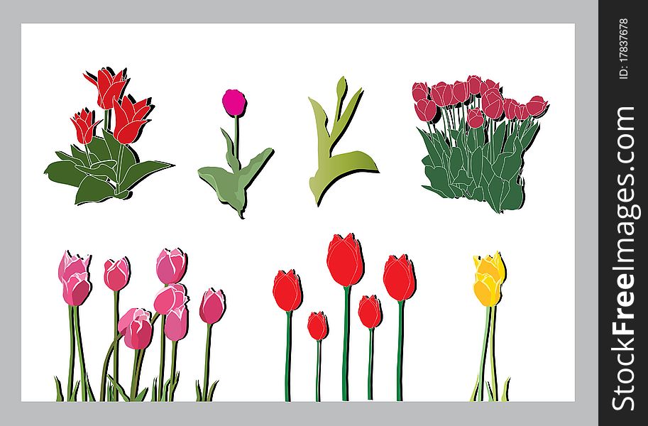 Set of tulip silhouettes, elements for your design. Set of tulip silhouettes, elements for your design