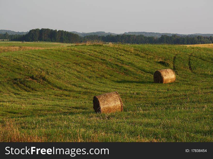 A haycocks in the field in Lithuania