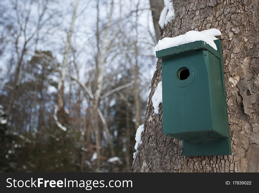 Snow topped birdhouse on tree