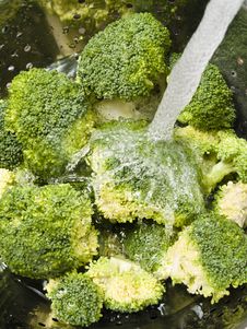 Washing Broccoli Royalty Free Stock Image