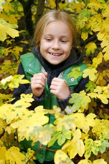Girl In The Autumn Park Royalty Free Stock Photo