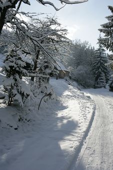 Winter Landscape. Stock Photo Winter Landscape. Stock Photo