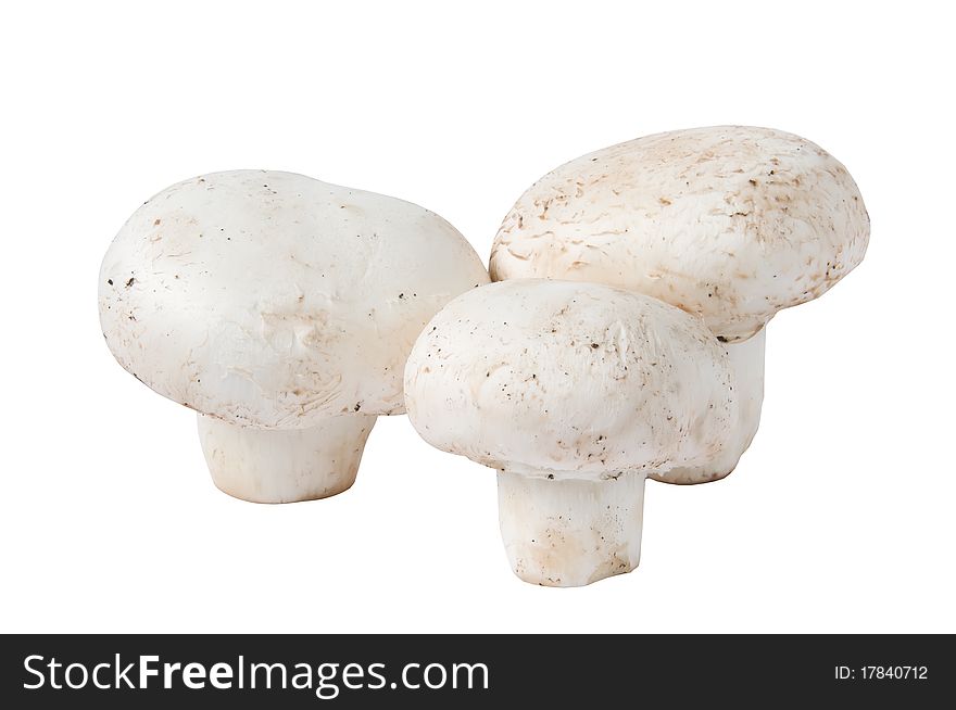 Field mushrooms isolated on white