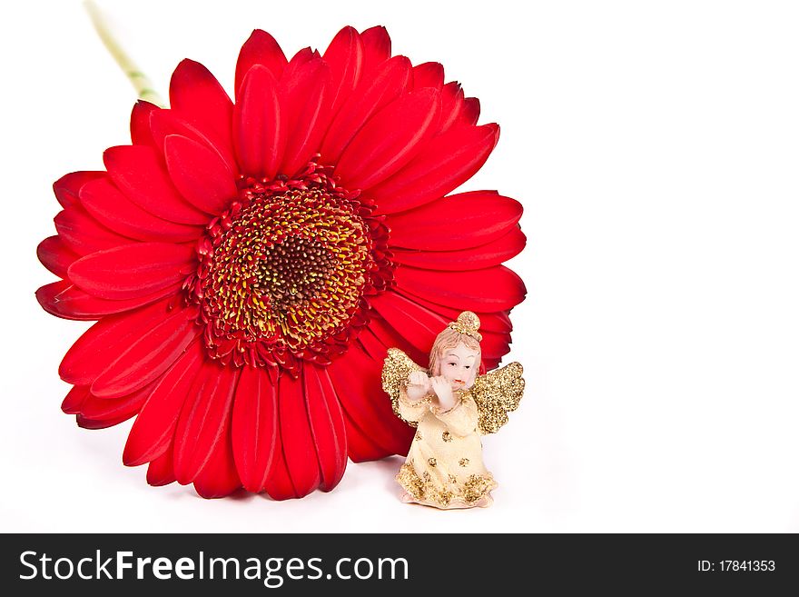 Little angel and red flower across white