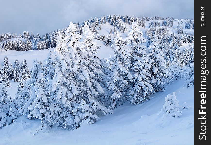 Winter In The Alps