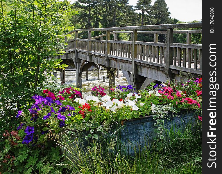 Petunia Flowers in a metal planter by a wooden footbridge over the river Thames in England. Petunia Flowers in a metal planter by a wooden footbridge over the river Thames in England