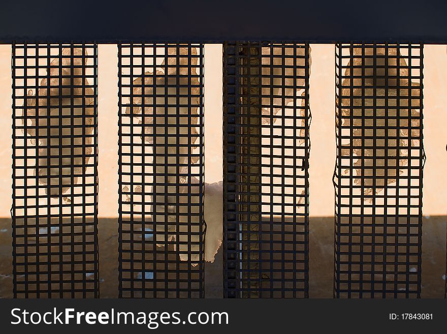 Architectural details: abstract lattice on wall of building