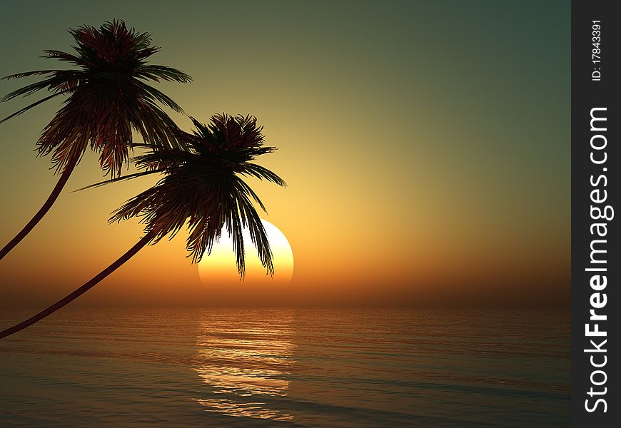 Dead tree at sunset beach