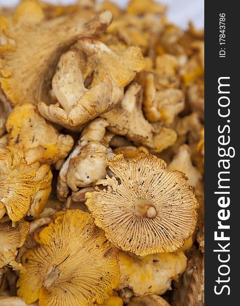 Mushrooms for sale on Majorcan Market Stall